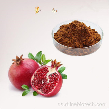 Ekologické granátové jablko extrakt 50-70% polyfenol